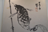 Karpfenangler