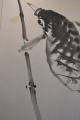 Karpfenangler