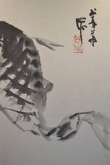 Karpfenangler