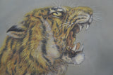 Tiger im Mondschein