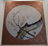Kirschblüten - Sakura