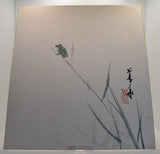Der Frosch