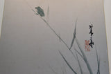 Der Frosch