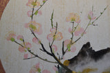 Kirschblüten - Sakura