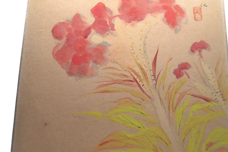 Rote Amaryllis
