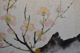 Kirschblüten - Sakura
