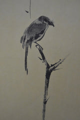 Miyamoto Musashi- 枯木鳴鵙図 Koboku Meikakuzu -Shrike on a Dead Tree