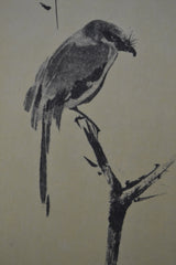 Miyamoto Musashi- 枯木鳴鵙図 Koboku Meikakuzu -Shrike on a Dead Tree