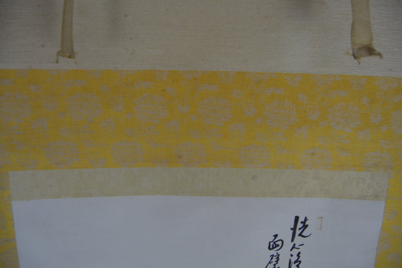 Daruma
