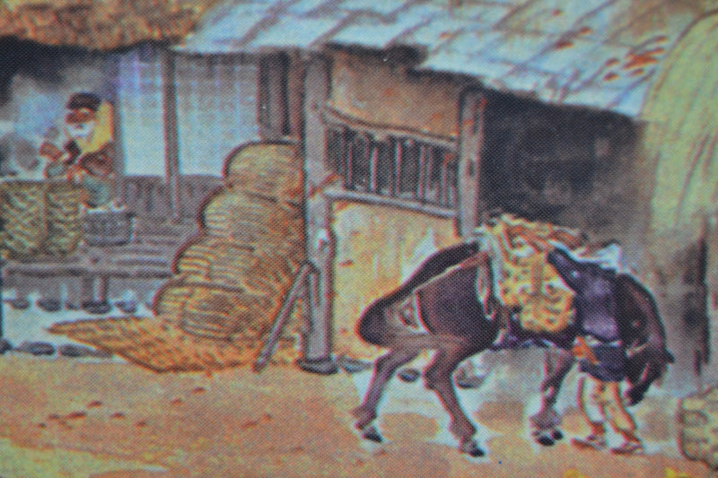 The village