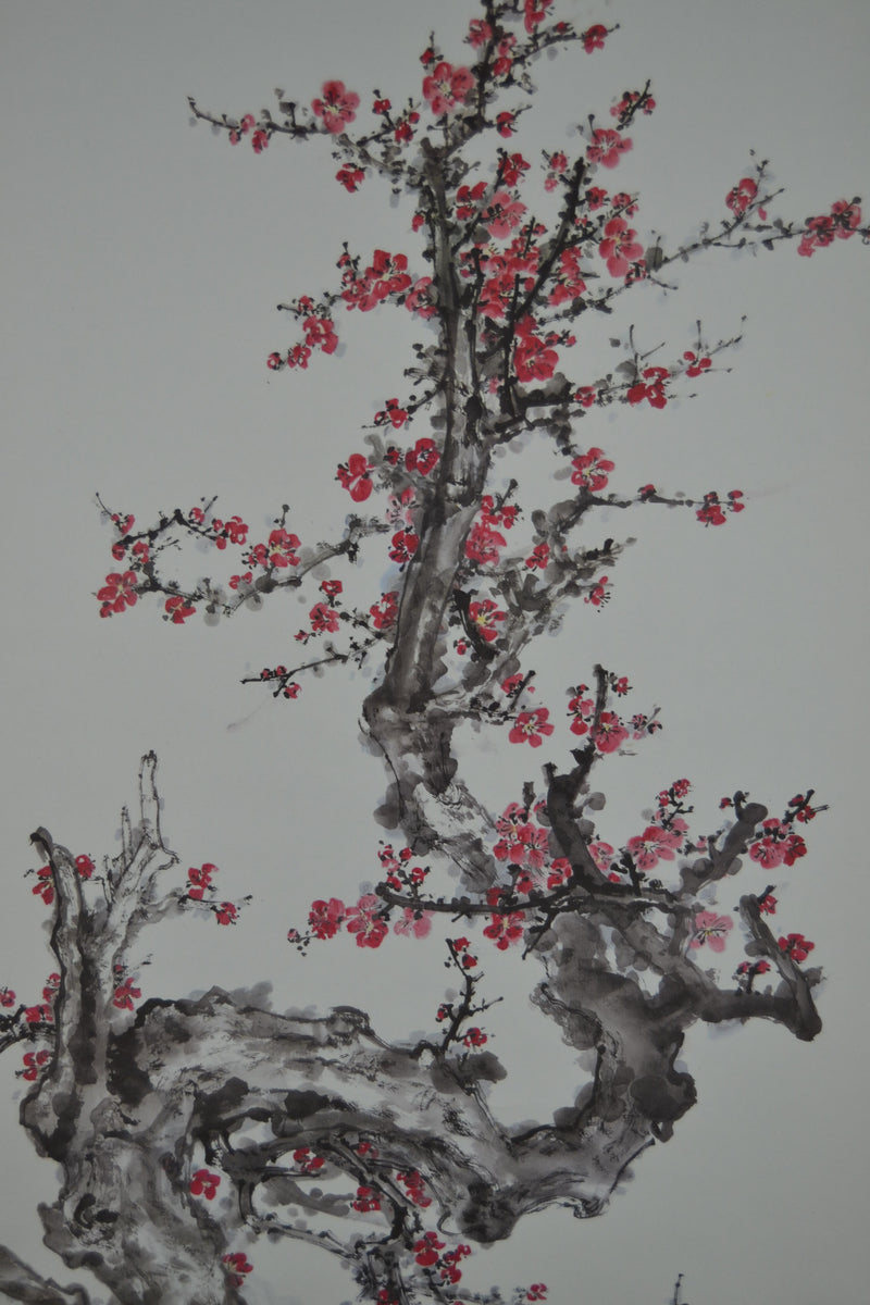 Pflaumenblüten
