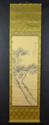 pine