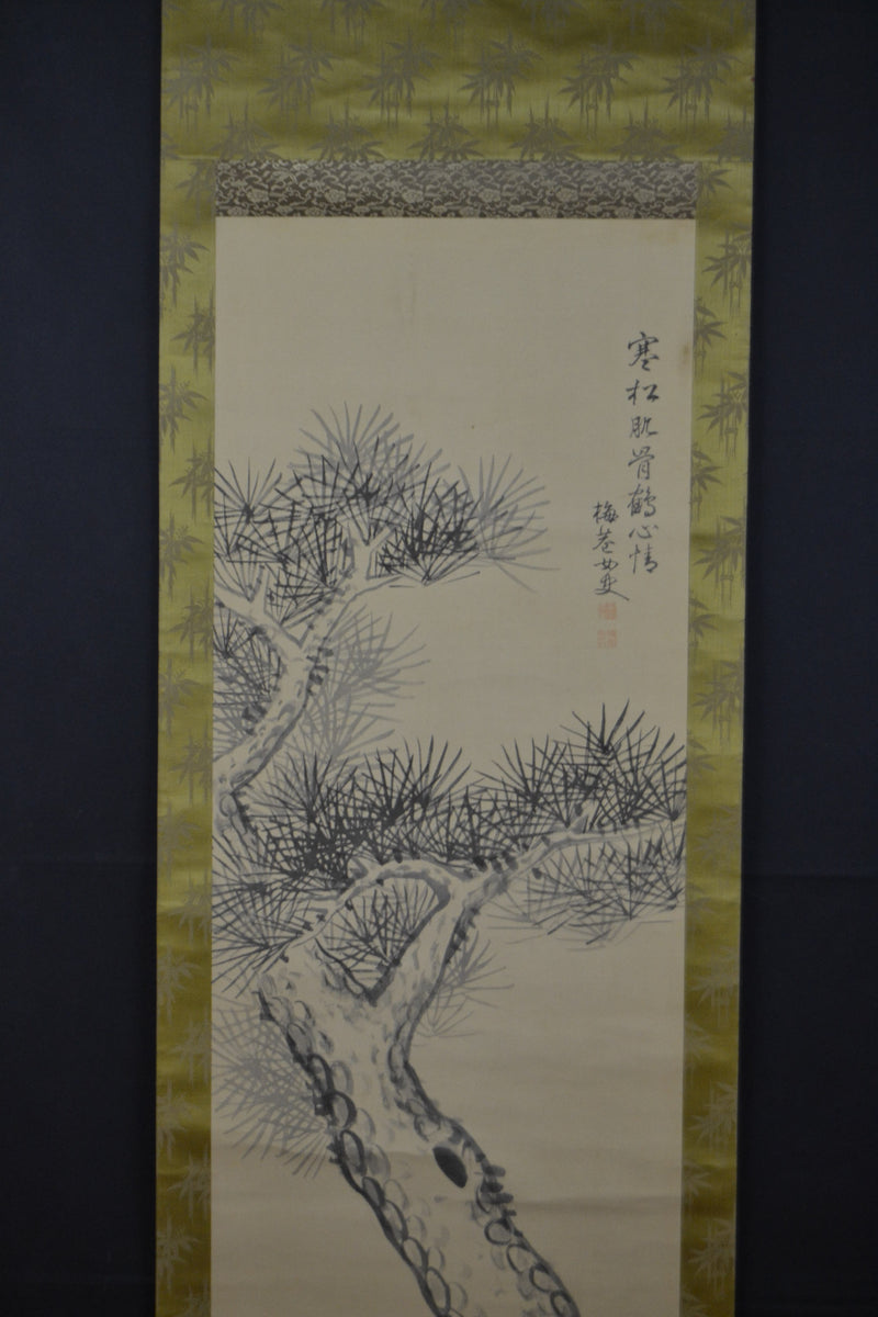 pine