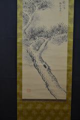 pine
