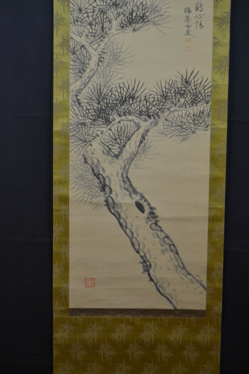 pine