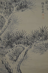 pine