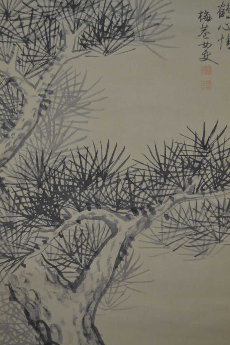 pine