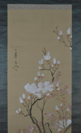 Magnolien