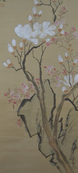 Magnolien