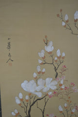 Magnolien