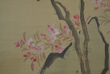 Magnolien