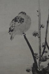 Kōbai Hato-zu 紅梅鳩図 – Taube auf einem roten Pflaumenbaum