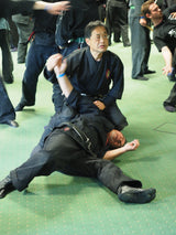 Die DVD zum Taikai in Frankfurt (Deutschland) mit  Koji Furuta Sensei und Shoshi Nakagawa im Mai 2023 (MP4-Download-Version)