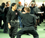 Die DVD zum Taikai in Frankfurt (Deutschland) mit  Koji Furuta Sensei und Shoshi Nakagawa im Mai 2023 (MP4-Download-Version)