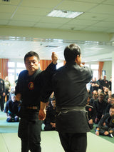 Die DVD zum Taikai in Frankfurt (Deutschland) mit  Koji Furuta Sensei und Shoshi Nakagawa im Mai 2023 (MP4-Download-Version)