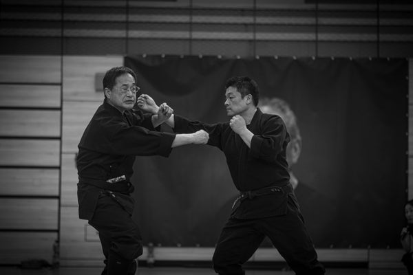 Die DVD zum NINPO-KAI mit Furuta Sensei