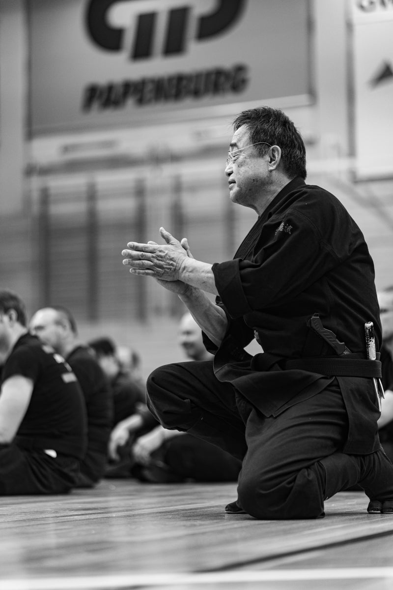 Die DVD zum NINPO-KAI mit Furuta Sensei