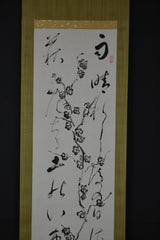 Sakura &amp; Kanji 