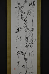 Sakura &amp; Kanji 