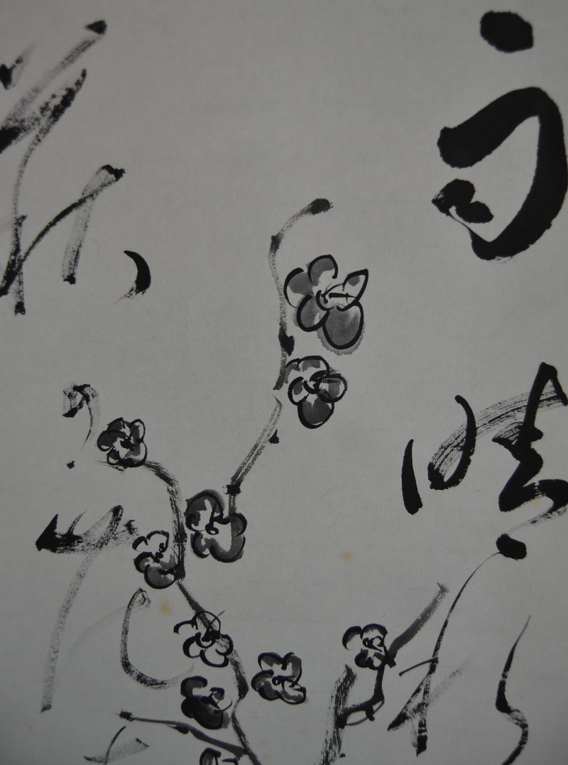 Sakura &amp; Kanji 