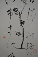 Sakura &amp; Kanji 
