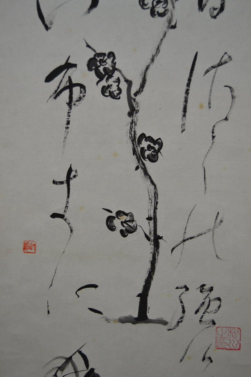 Sakura &amp; Kanji 