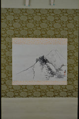 Fuji view 