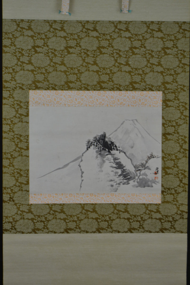 Fuji view 