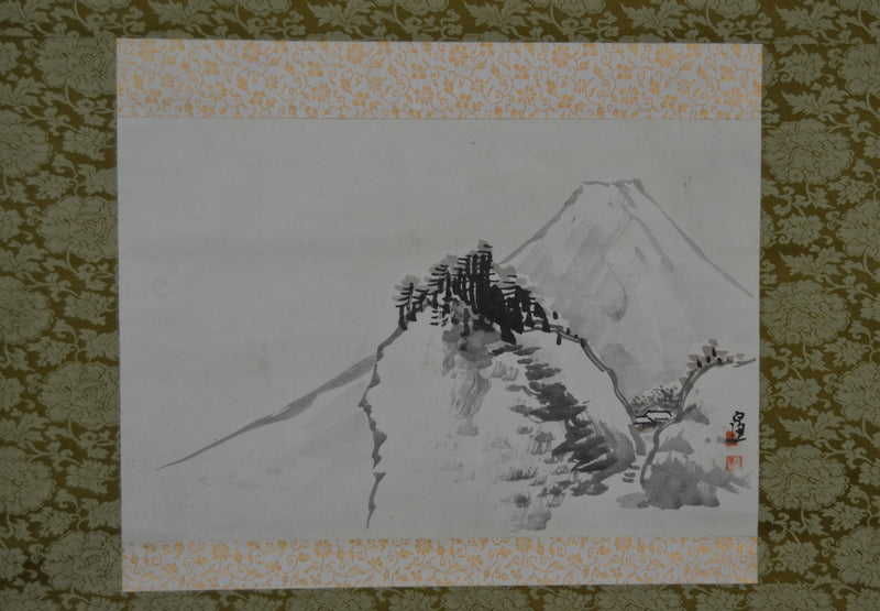 Fuji view 
