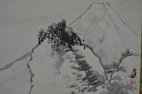 Fuji view 