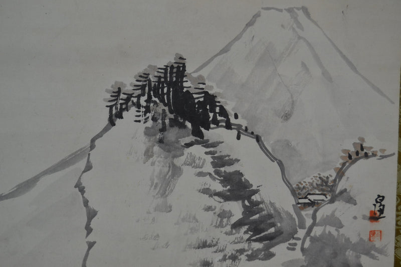 Fuji view 