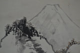 Fuji view 