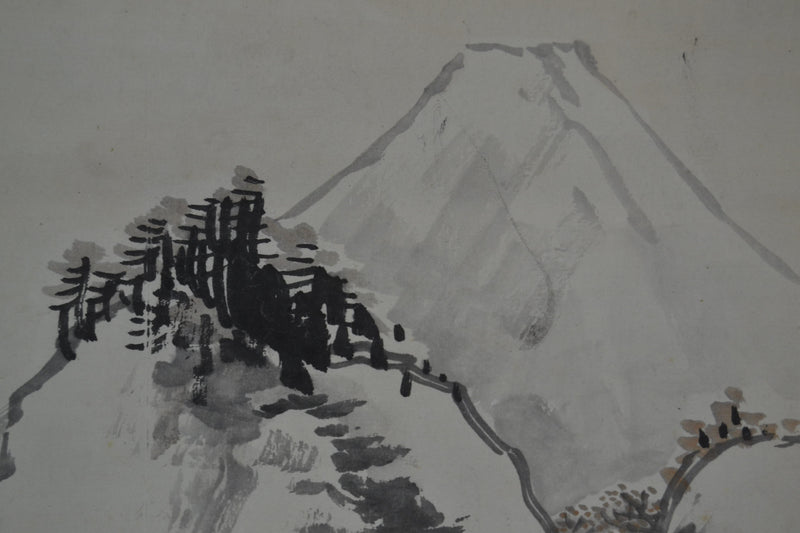 Fuji view 