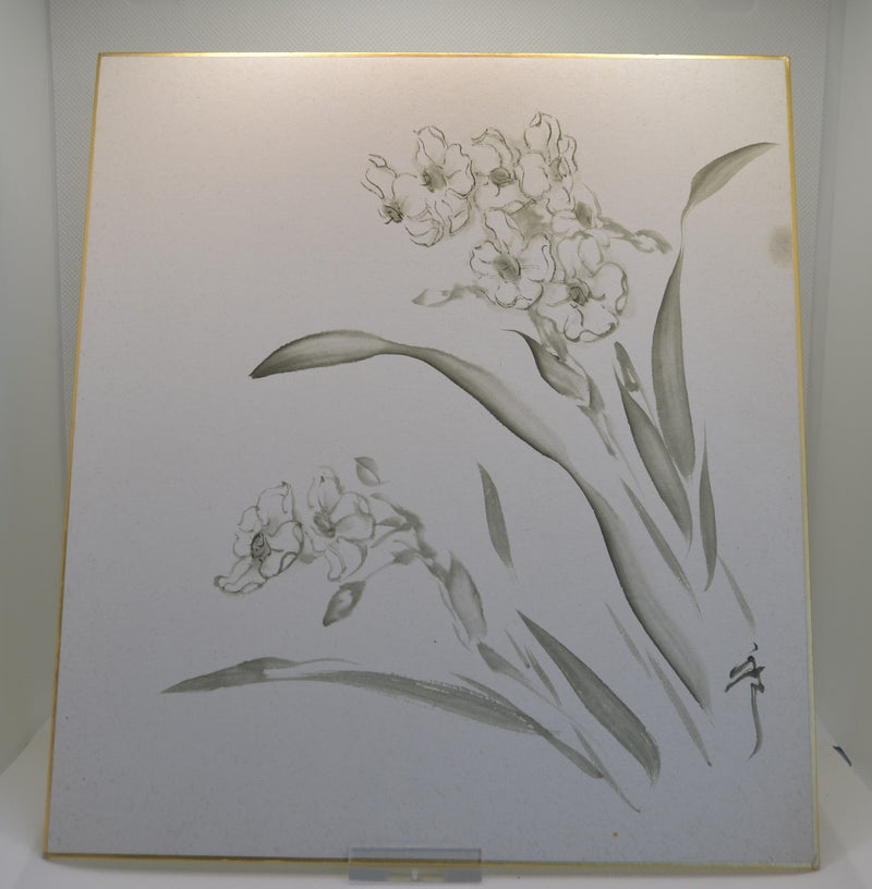 Orchideen II