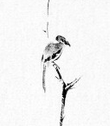 Miyamoto Musashi - 枯木鳴鵙図 Koboku Meikakuzu -Shrike on a Dead Tree