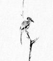 Miyamoto Musashi- 枯木鳴鵙図 Koboku Meikakuzu -Shrike on a Dead Tree