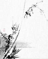 Miyamoto Musashi- 枯木鳴鵙図 Koboku Meikakuzu -Shrike on a Dead Tree