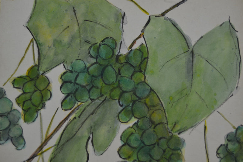 grapes