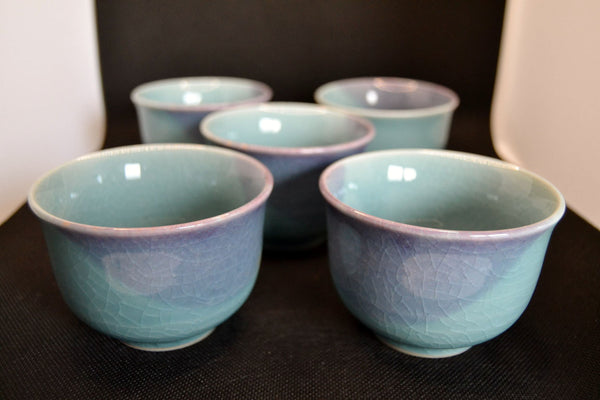 Yunomi 湯 の み- Sencha-Teeschalen, 5 Stück Set